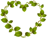 Sâm yến thịnh phát