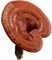 Sâm yến thịnh phát