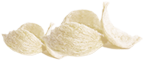 Sâm yến thịnh phát
