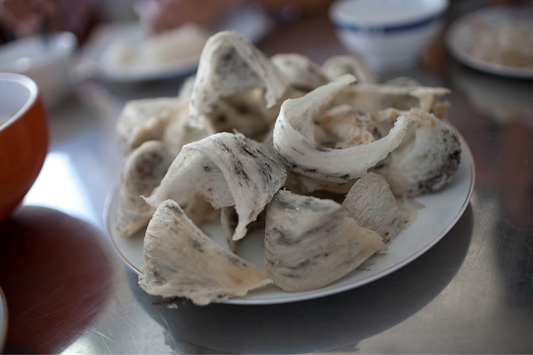 yến sào cần giờ