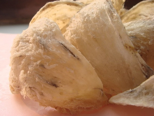 yến sào