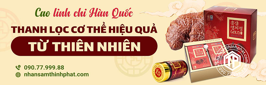 Cao  Linh Chi Hàn Quốc - Thanh Lọc Cơ Thể Hiệu Quả Từ Thiên Nhiên