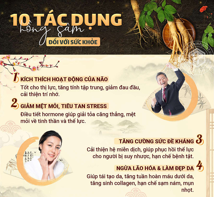 10 tác dụng của hồng sâm đối với  sức khỏe
