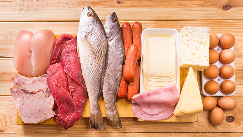 Protein đóng vai trò quan trọng với hoạt động của não bộ