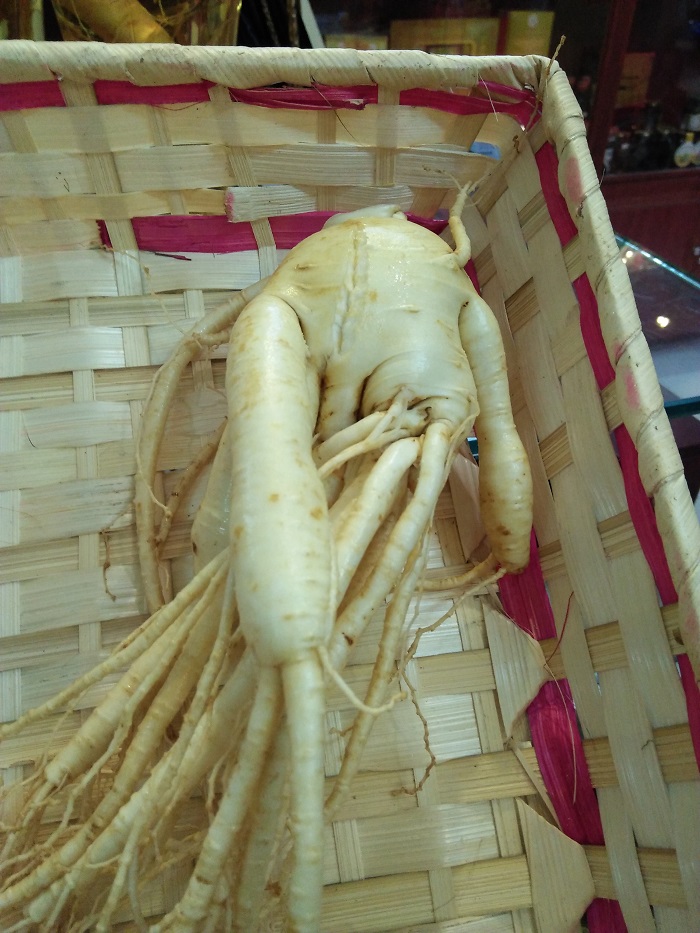 Sâm tươi hàn quốc loại 5 củ 1kg