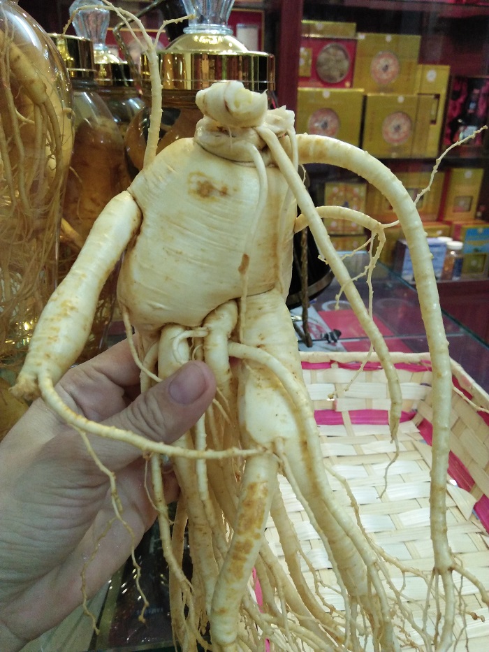 Sâm hàn quốc loại 4 củ 1kg đã rữa sạch