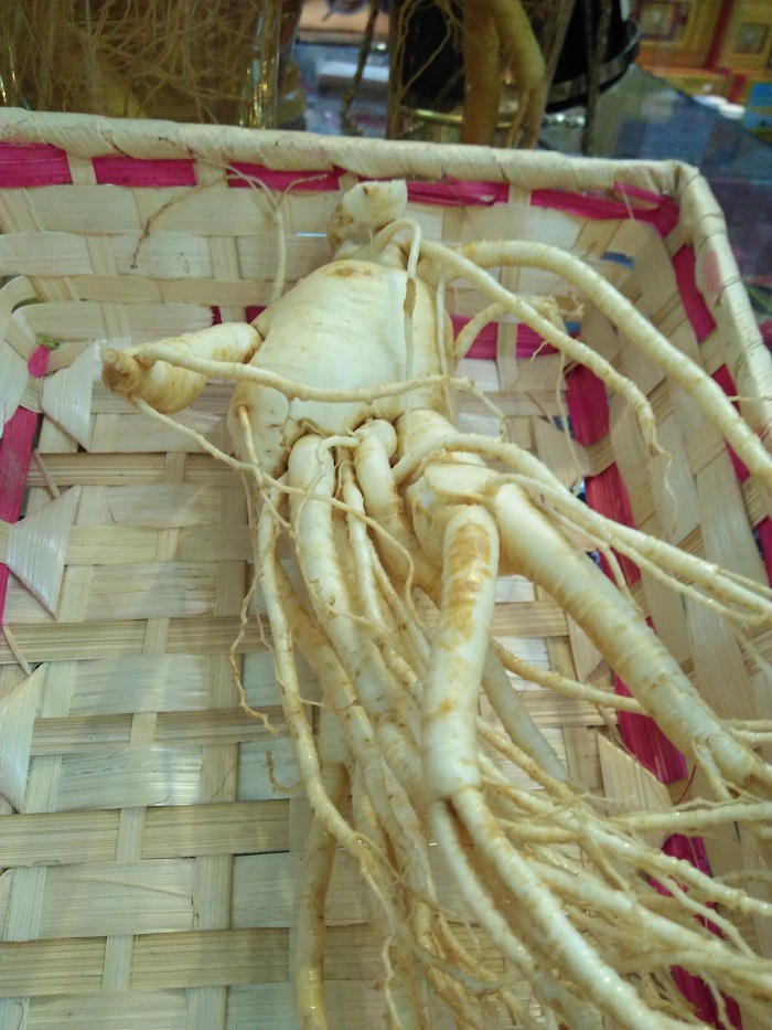 Sâm tươi hàn quốc 4 củ 1kg đã rữa sạch