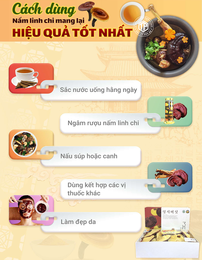 Cách dùng nấm linh chi mang lại hiệu quả tốt nhất