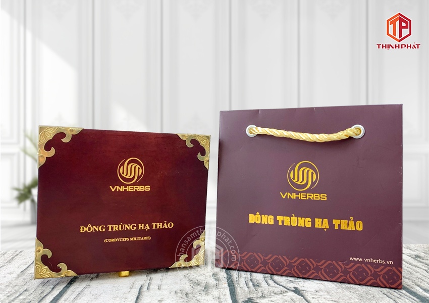 Con đông trùng hạ thảo ký chủ Việt Nam hộp 40 con
