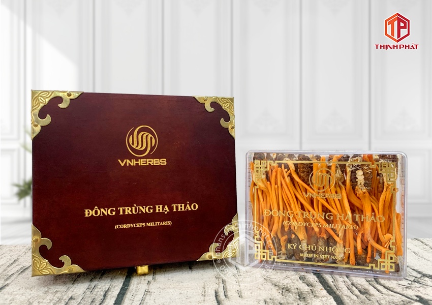 Con đông trùng hạ thảo ký chủ Việt Nam hộp 40 con