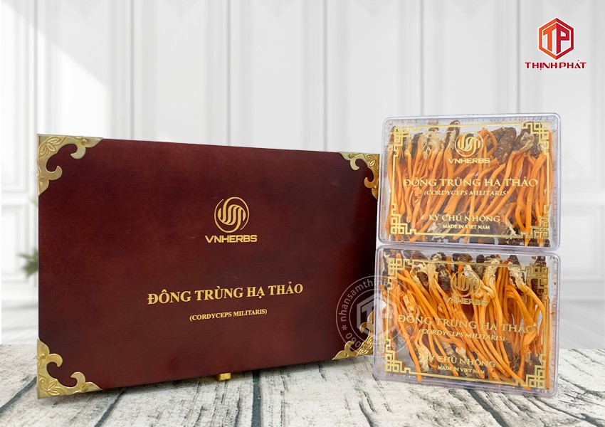 Con đông trùng hạ thảo ký chủ Việt Nam hộp 80 con
