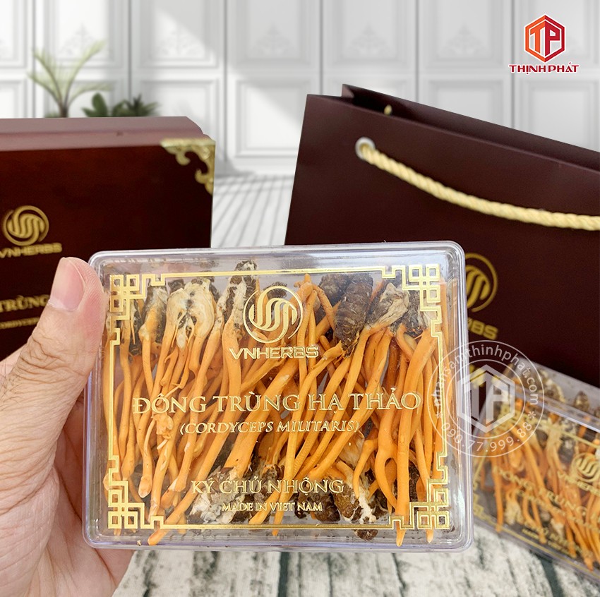 Con đông trùng hạ thảo ký chủ Việt Nam hộp 80 con