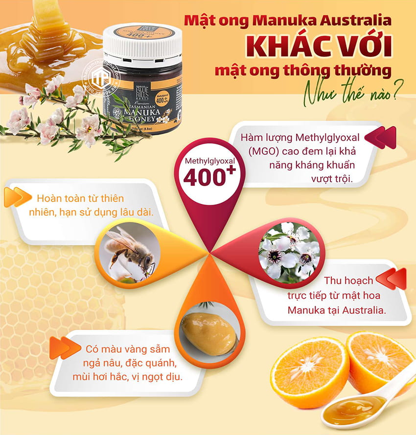 Mật ong Manuka khác mật ong thường như thế nào?