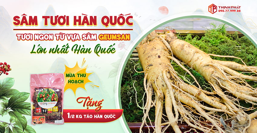 Mua 1 kg nhân sâm tươi Hàn Quốc tặng 1/2 kg táo Hàn Quốc