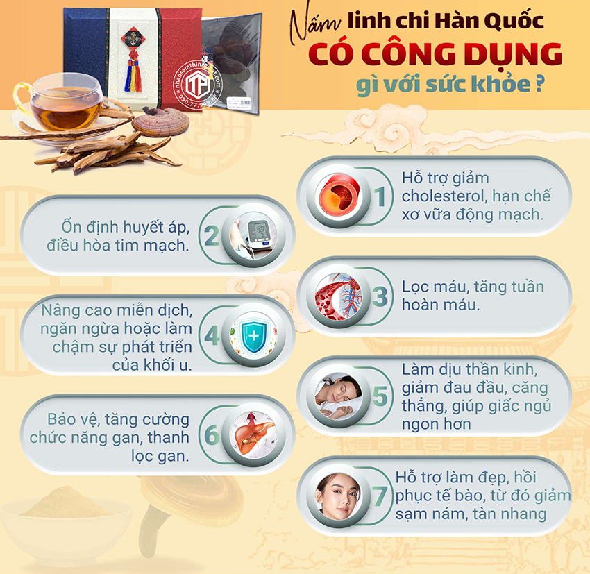 Nấm Linh Chi Hàn Quốc Có Công Dụng Gì Đối Với Sức Khỏe?