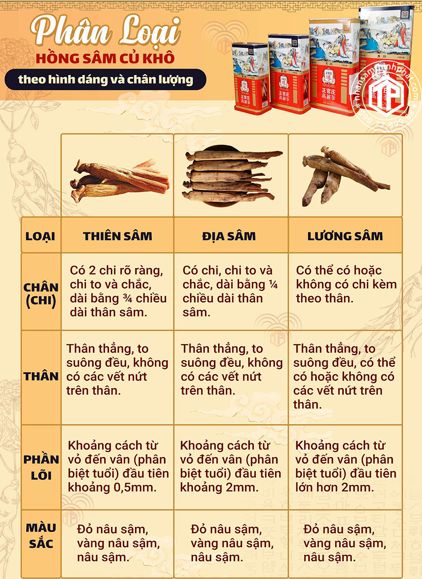 Phàn loại hồng sâm củ khô theo hình dáng và chân lượng