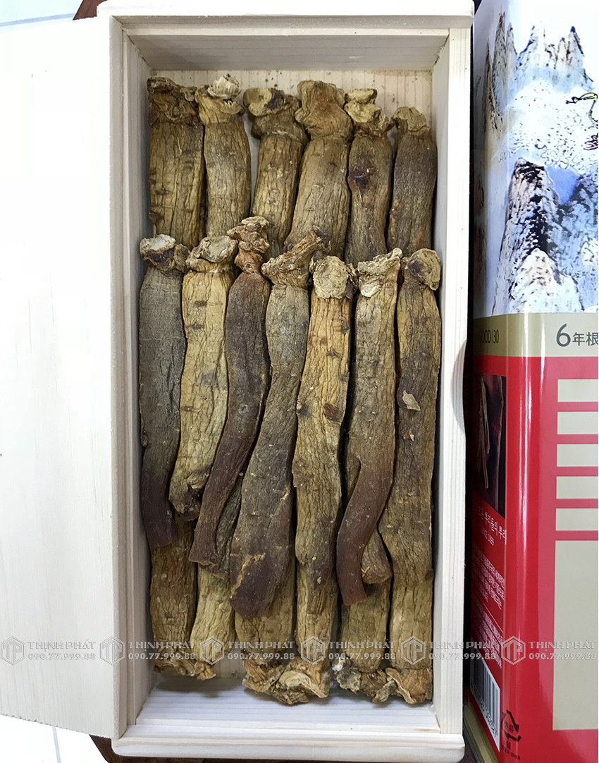 Hồng sâm chính phủ Jung Kwan Jang 30PCS 19 củ 300g