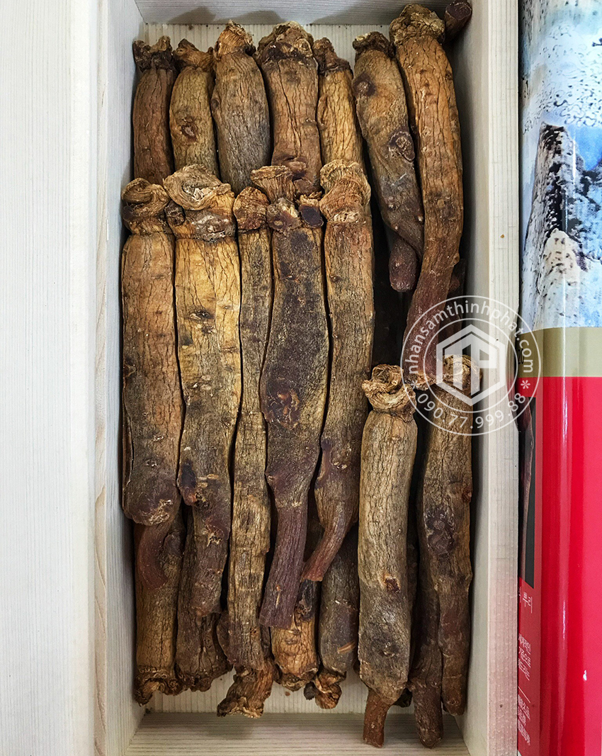 Hồng sâm củ khô KGC 600g 28 củ 20PCS Sâm chính phủ Jung Kwan Jang