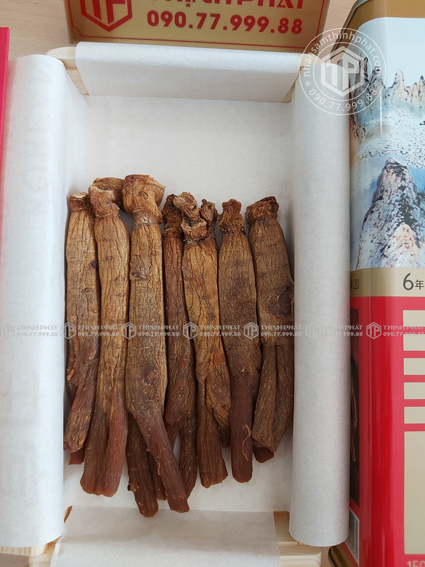 Thiên sâm chính phủ KGC Jung Kwan Jang thượng hạng Heaven 150g 20PCS 7 củ