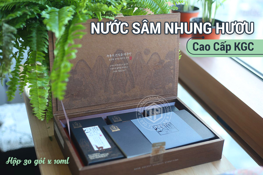 Nước sâm nhung hươu cao cấp KGC sâm chính phủ Jung Kwan Jang hộp 30 gói x 10ml
