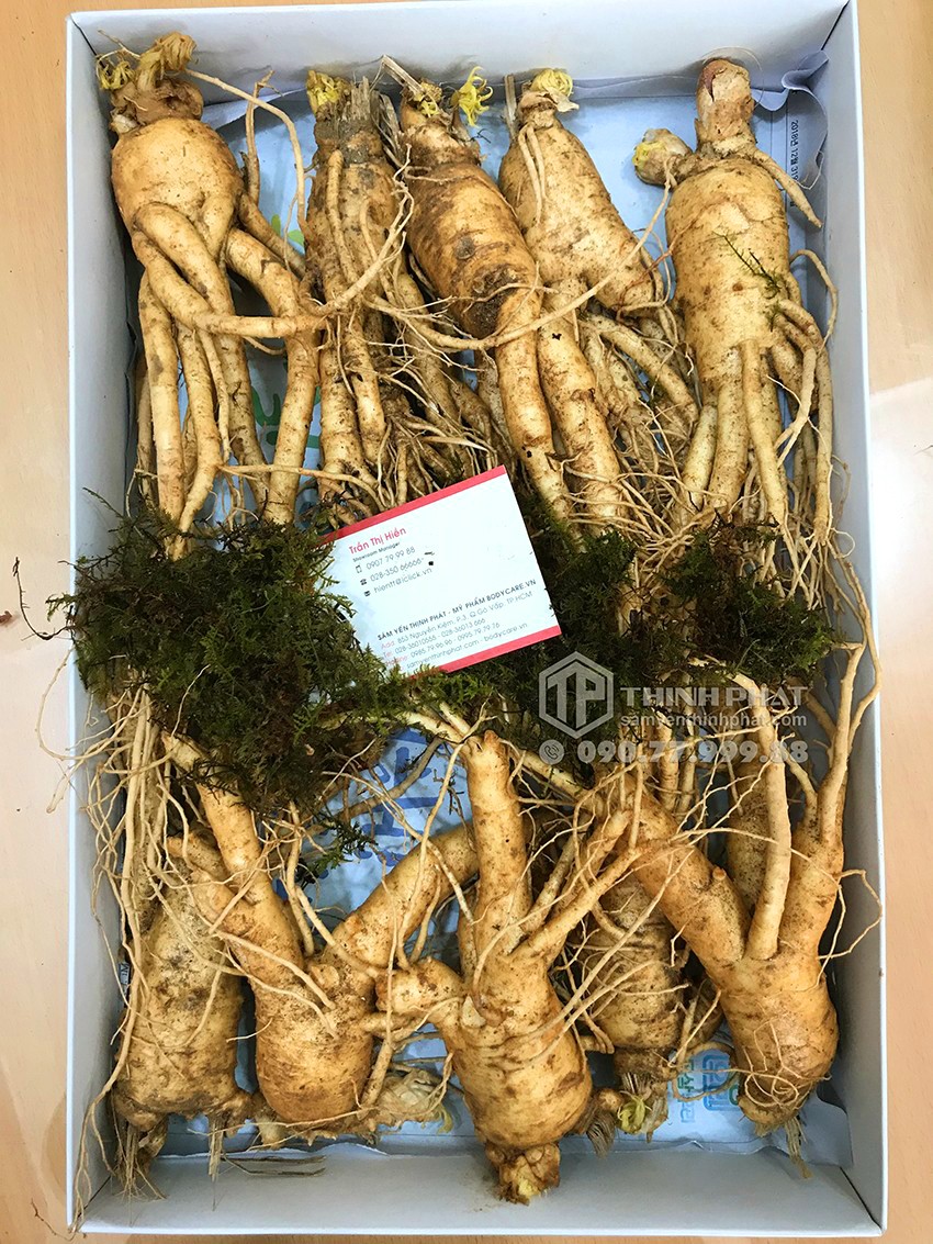 Nhân sâm tươi Hàn Quốc loại 10 củ 1 kg