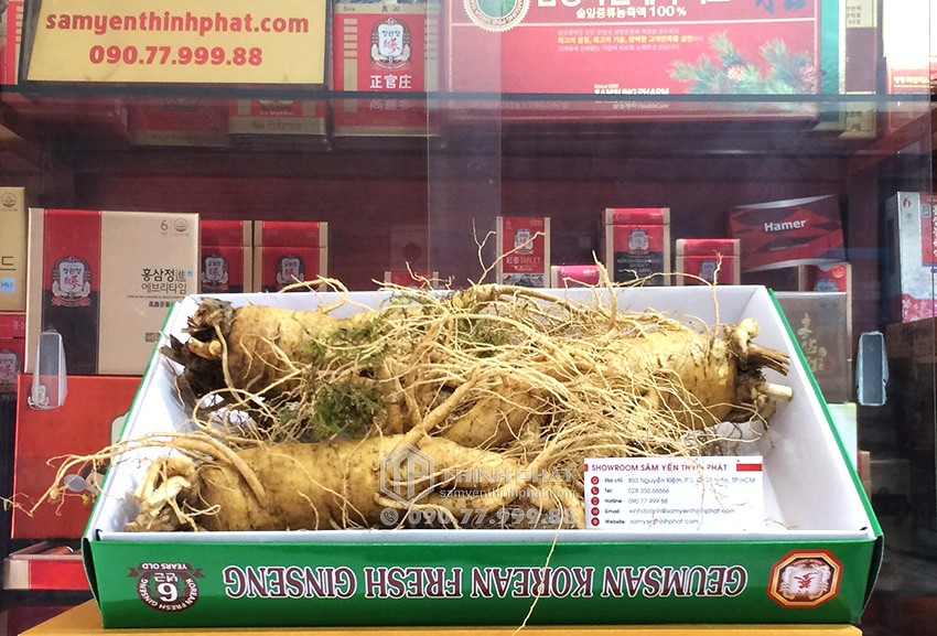 Nhân sâm tươi Hàn Quốc loại 3 củ 1 kg