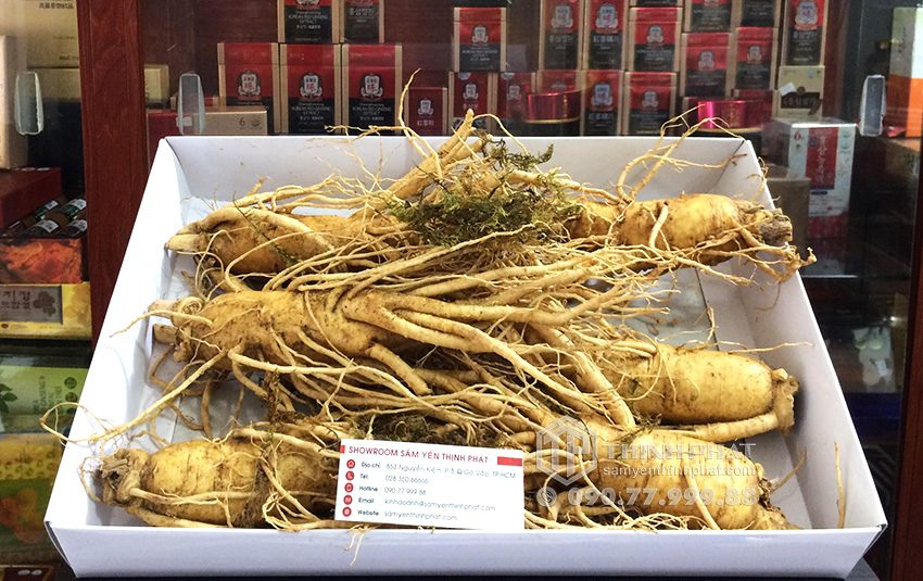 Nhân sâm tươi Hàn Quốc loại 6 củ 1 kg