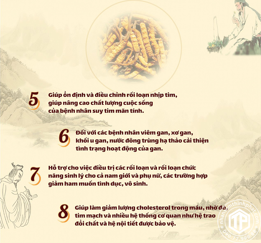 Tác dụng của nước đông trùng hạ thảo