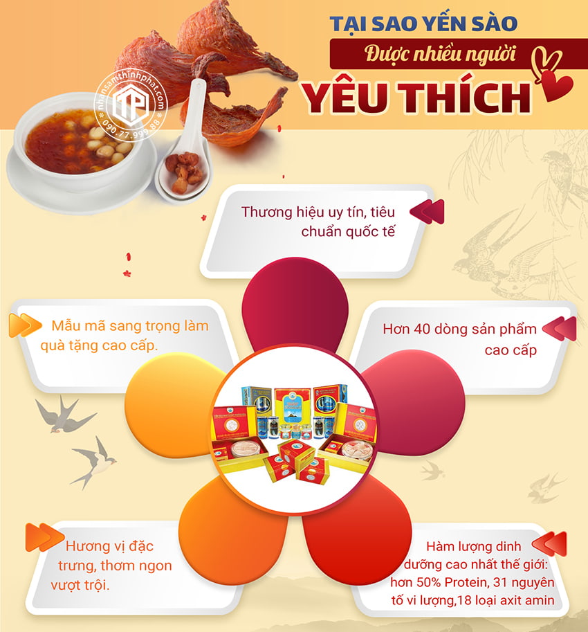 Tại Sao Yến Sào Được Nhiều Người Yêu Thích