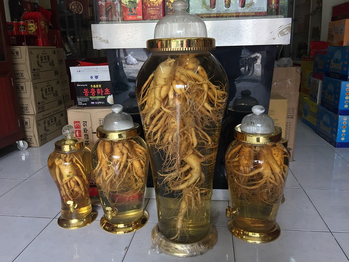 Rượu ngâm nhân sâm hàn quốc