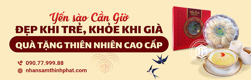 Yến Sào Cần Giờ - Đẹp Khi Trẻ, Khỏe Khi Già