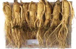 nhan-sam-tuoi-han-quoc-loai-8-cu-1-kg