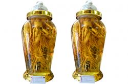 Bình Rượu Nhân Sâm Hàn Quốc 12 Lít 5 Củ